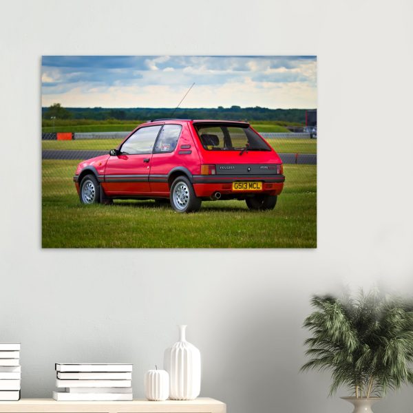 Peugout 205 GTI at Snetterton Rear Three Quarter